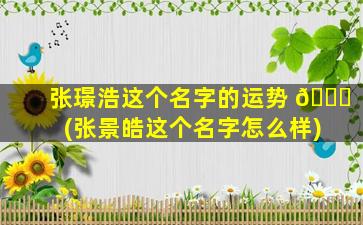 张璟浩这个名字的运势 🐈 (张景皓这个名字怎么样)